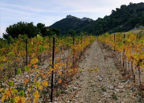 Gigondas Dentelles de Montmirail