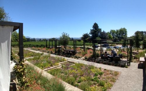 Flowers tasting room Healdsburg 2