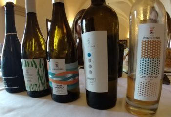 Gorghi Tondi wines