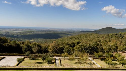 Tenuta Sette Cieli vines