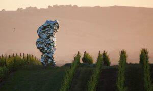 Wine, Art, Compost, and Apprenticeship, Not Necessarily in That Order (Donum Estate 2022 Releases)