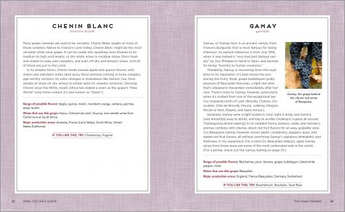 Wine Taster's Guide excerpt