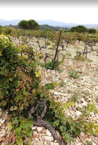 Cairanne soils