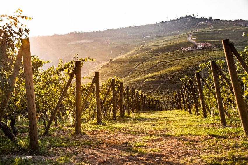 Tenuta Carretta Cannubi