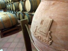 Capitoni amphorae