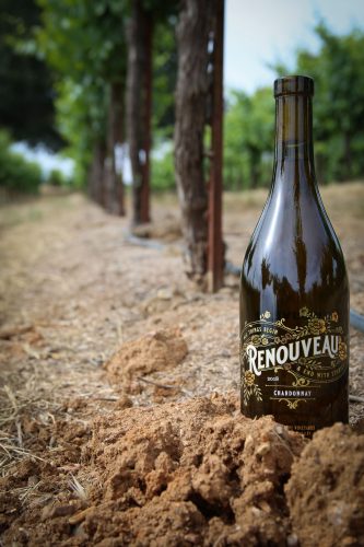 2018 Bacigalupi Vineyards Renouveau Chardonnay