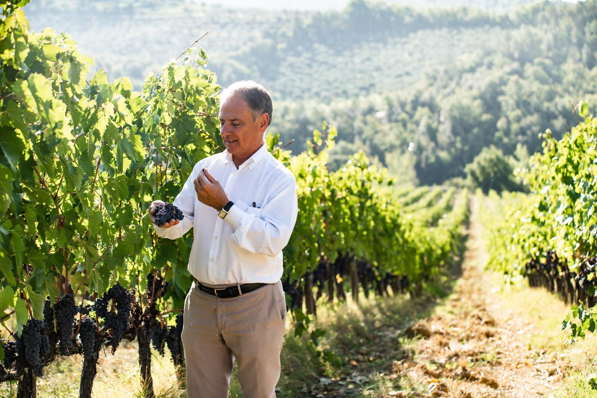 “The Difference” (A Villa Rosa Chianti Classico Gran Selezione Vertical)