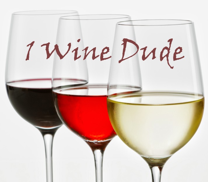 Wine Reviews: Mini Round-Up | January for Dude Wine 1 2024 29