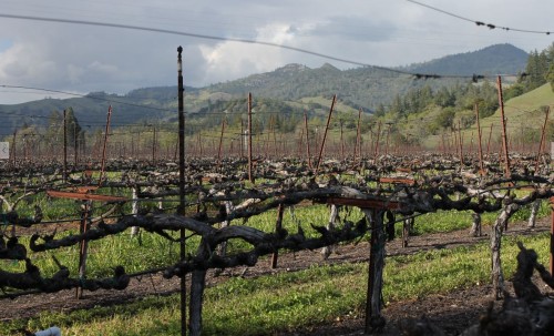 Knights Valley