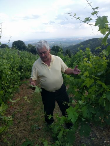 Pierre Seillan