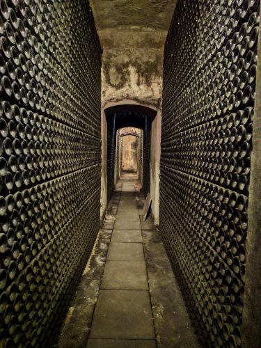 Cellars of Pirieneos