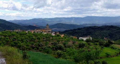Somontano view