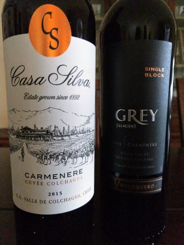 Casa Silva and Grey Carménère 