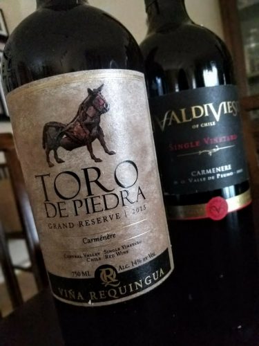 Toro de Piedra and Valdivieso Carménère 