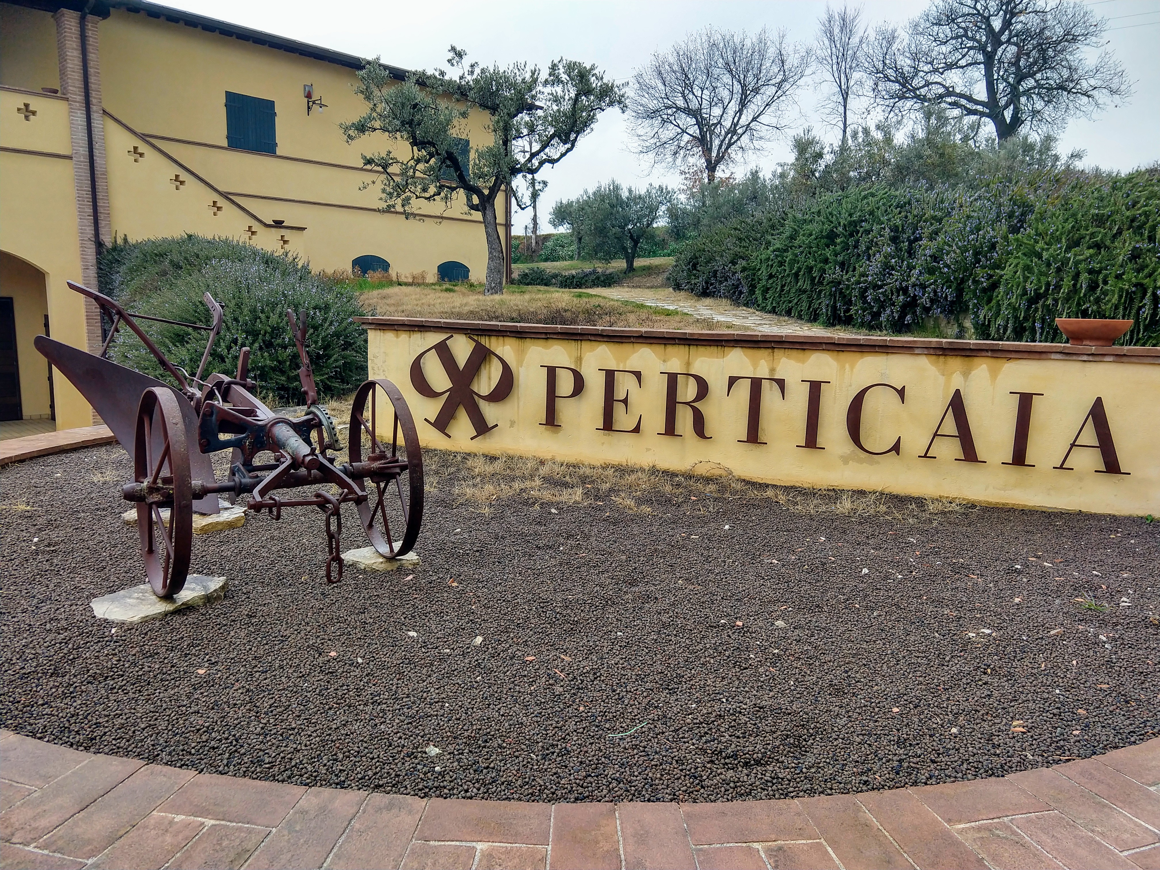 Perticaia plow