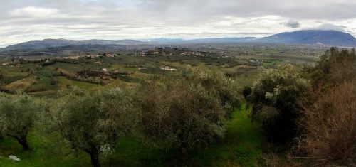 Montefalco views