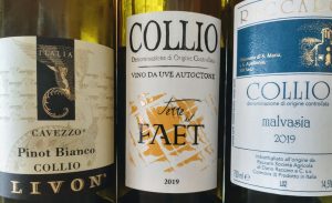 Collio tasting lineup 1