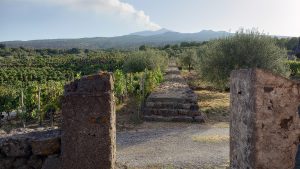 Joe Vs. the Volcano (Exploring Etna Wines for NVWA)