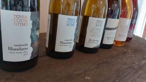 Terra Constantino wines