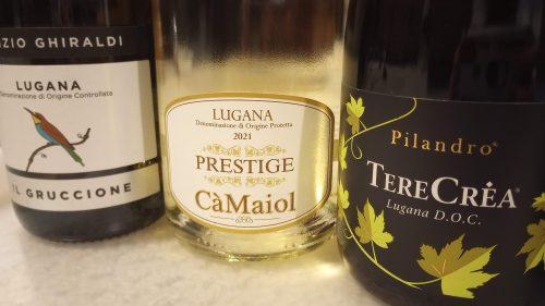 Lugana wines 2
