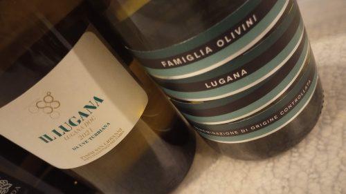 Lugana wines 4