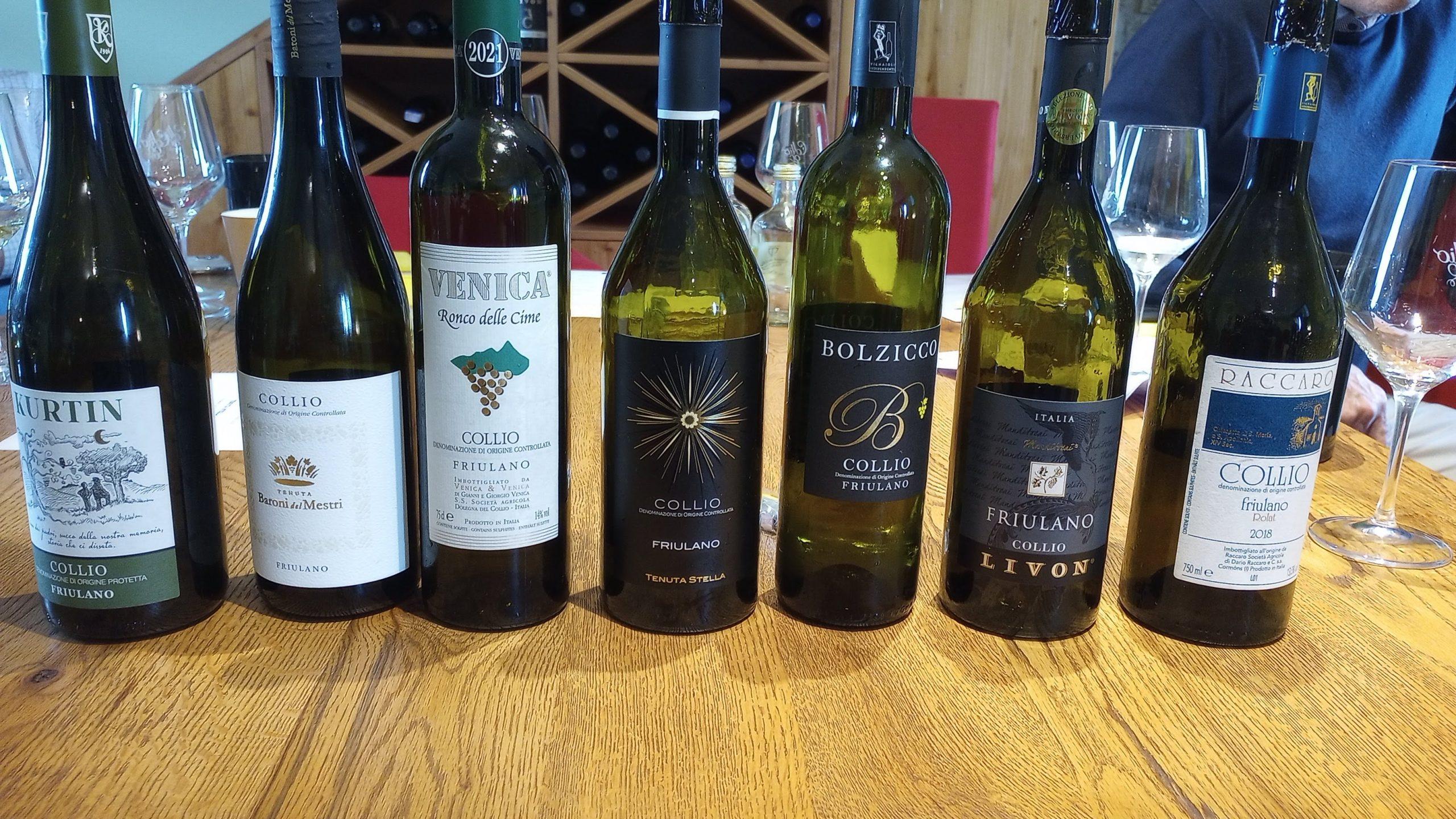 Collio Friulano tasting lineup