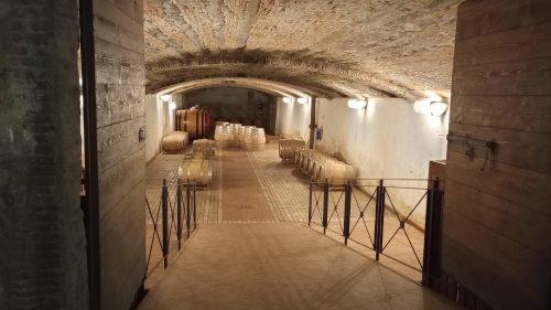 Collio cellar