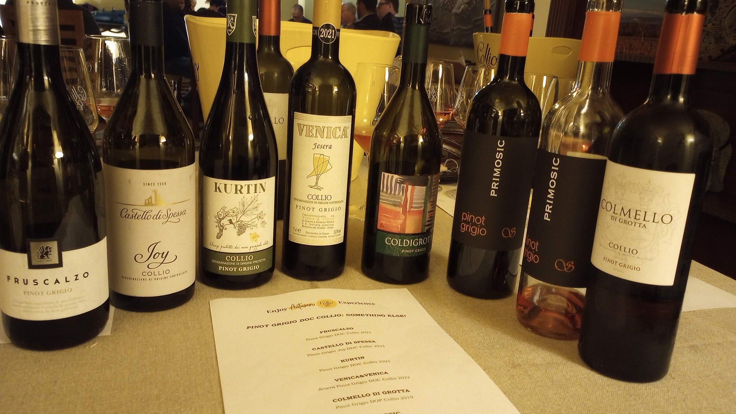 Collio Pinot Grigio tasting lineup