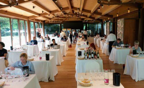 Is Predappio Ready for Prime Time? (A Deep Dive Into Romagna’s Top-Tier Sangiovese Reds)