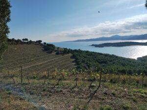 Beach Boys (Exploring Perelada’s Finca Garbet)