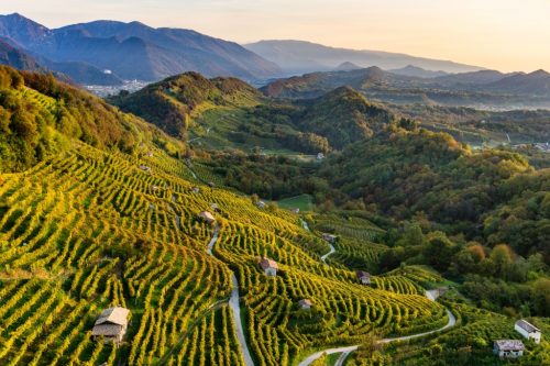 Landscape of Conegliano Valdobbiadene Prosecco_photo credits Arcangelo 