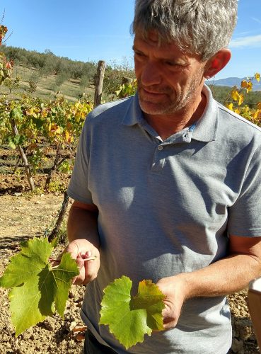 Roberto Mascelloni and Foglia Tonda leaf