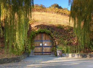 Wine In the Time of Coronavirus, Part 37: Wild, Wild West-ish (Saracina Mendocino Recent Releases)