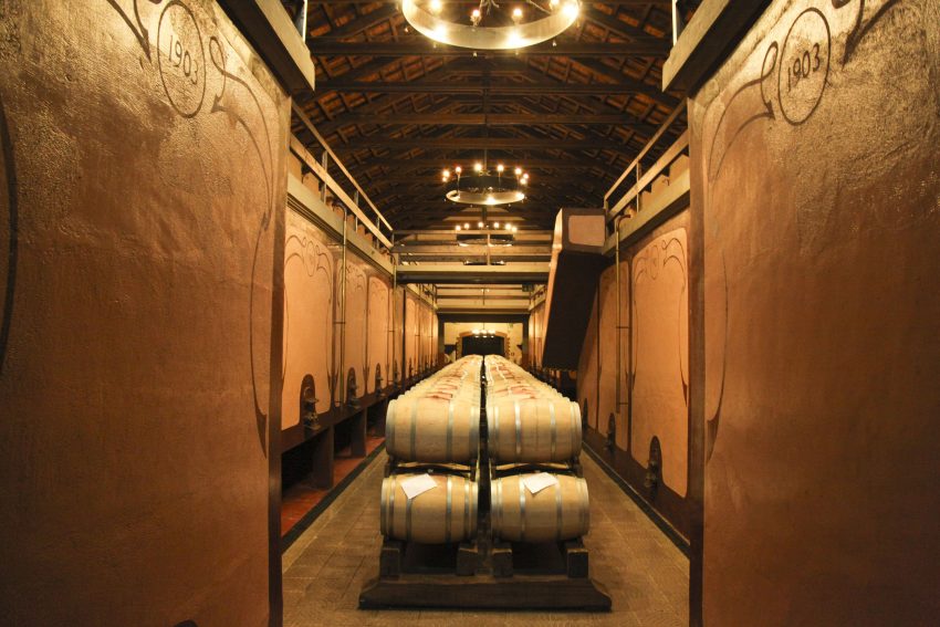 Sella & Mosca cellar