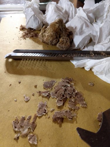 Truffles at Fattoria del Colle