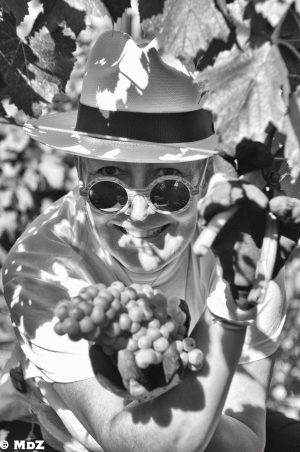 Wine In the Time of Coronavirus, Part 42: Fighting the “Viticulture of Death” (Avignonesi Recent Releases)