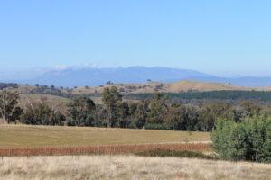 Victory for Your Wallet (Some Price-Friendly Selections from Victoria)