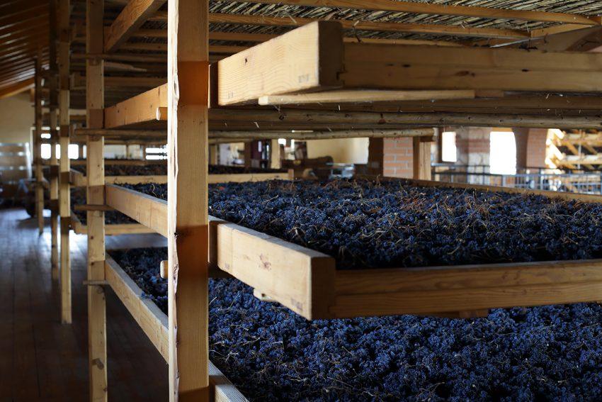 Costa Arènte drying grapes
