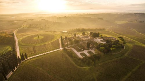 Avignonesi estate